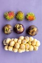 Asia set of fruit from a longkong branch, whole mangosteen and rambutan on a light background