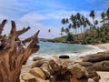 Asia srilanka Beach landscape paradise