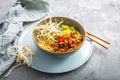 Asia style ramen soup with udon noodles, cabbage, bamboo sprouts and spicy pork Royalty Free Stock Photo