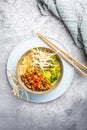 Asia style ramen soup with udon noodles, cabbage, bamboo sprouts and spicy pork Royalty Free Stock Photo