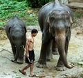 ASIA THAILAND CHIANG ELEPHANT CAMP