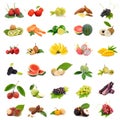 Asia tropical fruits ,Collection fruit set on white background