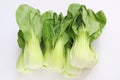 Asia vegetable Bok Choy