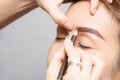 Asia woman applying permanent make up eyebrows tattoo. Royalty Free Stock Photo