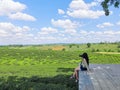 Asia woman take a view of Choui Fong tea plantation at Chiangrai, Thailand