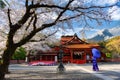 Asia woman wearing Kimono viewing Cherry Blossoms