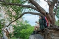 Asia women hiker with backpack on big tree checks map to find directions and look binoculars in wilderness area forest. Royalty Free Stock Photo