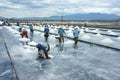 Asia worker, salt marsh, working