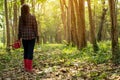 Asia young gardener woman help afforest and water the plant with sapling tree outdoors in forest nature spring