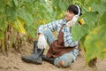 Asian agriculture is resting in the sunflower field. Happy after work