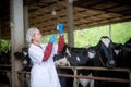 Woman Asian agronomist or animal doctor collecting milk sample at dairy farm