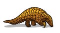 Asian animal pangolin isolated in cartoon style. Educational zoology illustration, coloring book picture