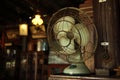 Asian Antique Fan