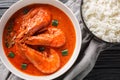 Asian aromatic tiger prawn curry with coconut milk and spices close-up in a bowl. horizontal top view Royalty Free Stock Photo