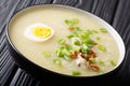 Asian Arroz Caldo rice soup with chicken, vegetables and egg close-up in a bowl. horizontal Royalty Free Stock Photo