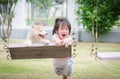 Asian baby baby on swing with puppy Royalty Free Stock Photo