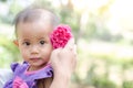 Asian baby girl with pink rose flower in her hair on light nature background Royalty Free Stock Photo