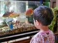 Asian baby looking at fishes in a glass tank with curiosity Royalty Free Stock Photo
