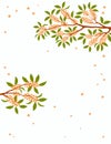 Asian background with osmanthus tree blossoms Royalty Free Stock Photo