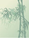 Asian bamboo background