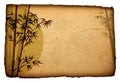 Asian Bamboo on grunge cardboard, Illustration Royalty Free Stock Photo