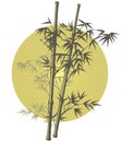 Asian Bamboo illustration