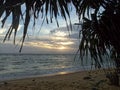 Asian beach landscape Royalty Free Stock Photo