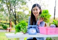 Asian beautiful business girl sit and hold the vegetable to present green product concept