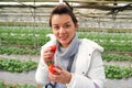 Asian beautiful tourist woman wearing overcoat in strawberry greenhouse