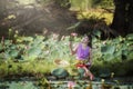 Asian beautiful woman walking in lotus field.