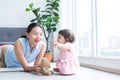 Asian beautiful young mother and Caucasian 7 months baby newborn girl playing with Bear doll toy. Single mom lying on floor Royalty Free Stock Photo