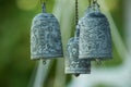 asian bell in japanes garden Royalty Free Stock Photo