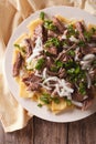 Asian beshbarmak - noodles with lamb and onion close-up. Vertical top view Royalty Free Stock Photo