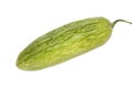 Asian Bitter Cucumber on White Royalty Free Stock Photo