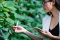 Asian botanists are documenting the changes in the trees in the scientific experimental plot