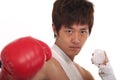 Asian boxer