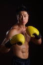 Asian boxer in his attacking stance