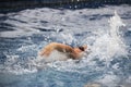 Asian boy back stroke swims in swimming pool Royalty Free Stock Photo