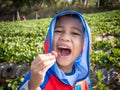 Asian boy eating strawberries Royalty Free Stock Photo