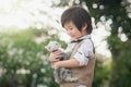 Asian boy holding american short hair kitten