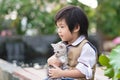 Asian boy holding american short hair kitten