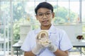 Asian boy holding Tooth Structure Model in laboratory Royalty Free Stock Photo