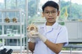 Asian boy holding Tooth Structure Model in laboratory Royalty Free Stock Photo