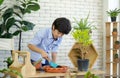 Asian boy spent holiday taking care of indoor garden, mixing soil and fertilizer with blue gardening shovel