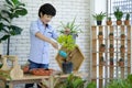 Asian boy spent the holidays taking care of the indoor garden, fertilizing the plants in the pots Royalty Free Stock Photo