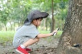 Asian boy wearing a hat in a forest exploration suit Use a magnifying glass to survey the tree area