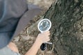 Asian boy wearing a hat in a forest exploration suit Use a magnifying glass to survey the tree area