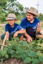 Asian boy working together with his mother in home vegetable garden, mother looking with love and pround of her little son