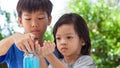 Asian boys and girls aged 4 to 8 years. Cute, bright faces are washing their hands with soap and water, washing hands with soap an