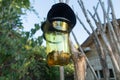 Asian bumblebee trap in europe to stop the invasion